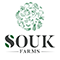 Souk Logo